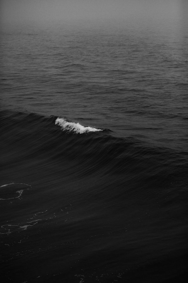 Imagem monocromática de onda no mar, evocando percepções intuitivas. Foto de Nathan Dumlao, Unsplash.