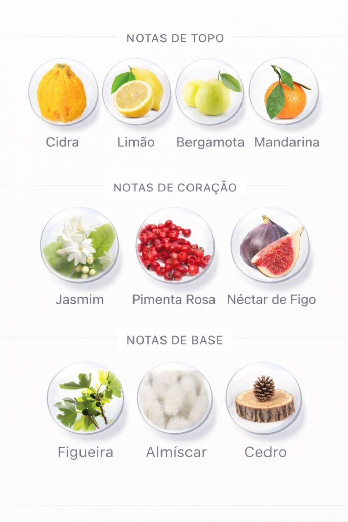 Perfume de Figo: 26 perfumes com a nota de figo em evidência 20 Perfume de figo Chlorophylla notas