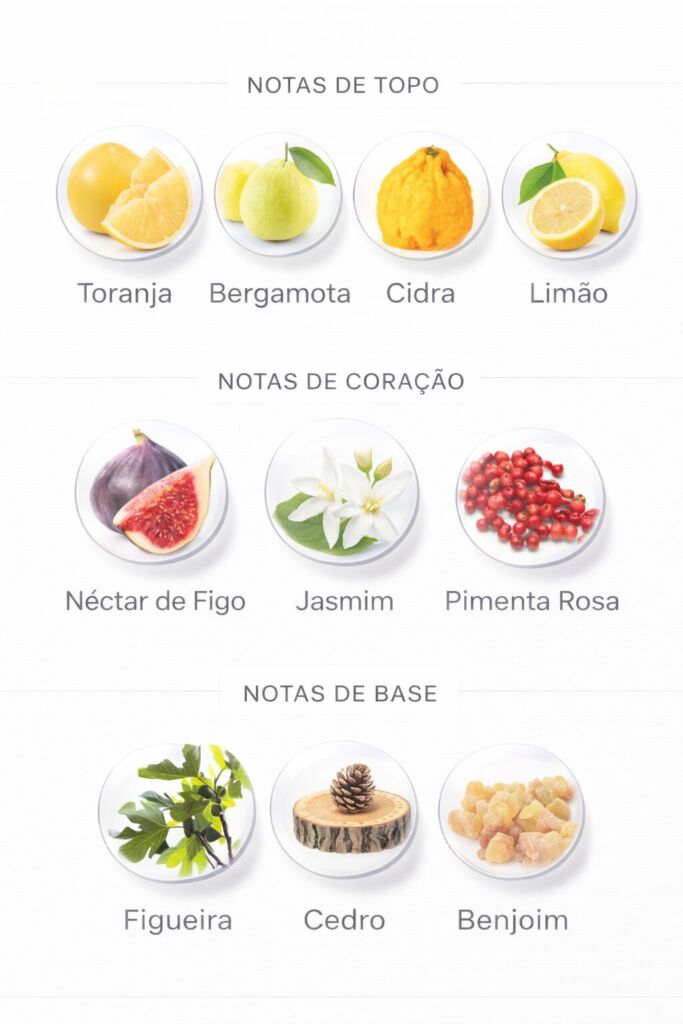 Perfume de Figo: 26 perfumes com a nota de figo em evidência 33 Notas de Fig, perfume de figo da Aisha Perfumes
