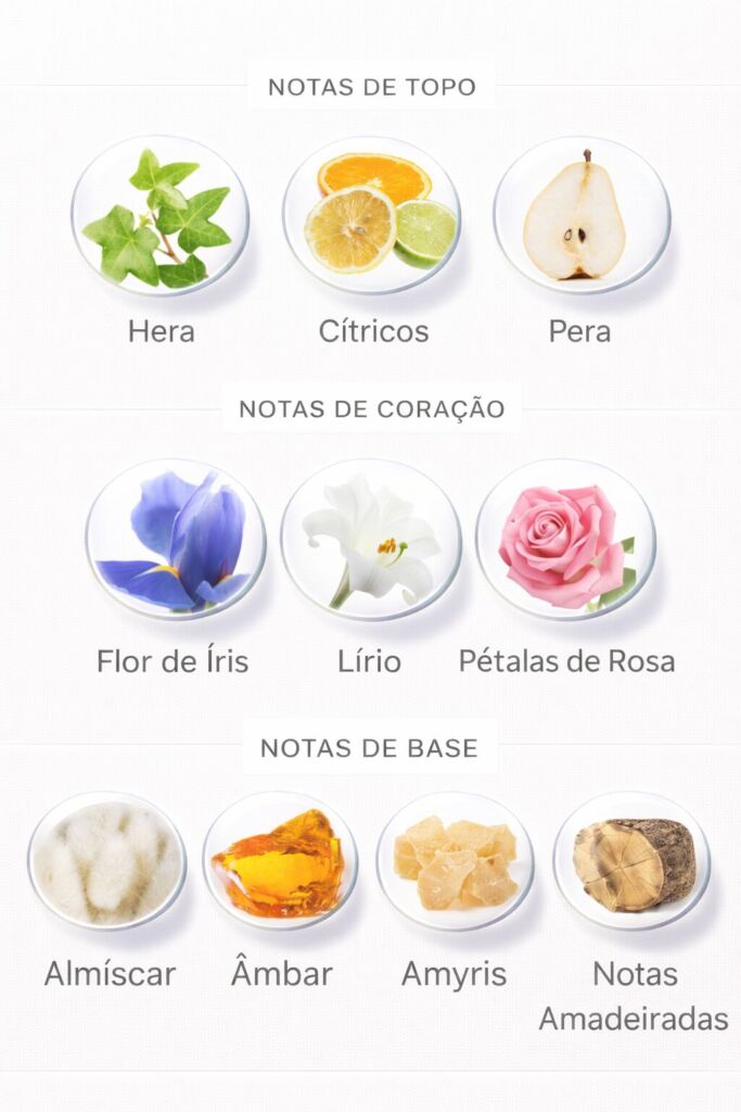 Perfume de íris: 15 perfumes com a nota de íris para acrescentar à wishlist 32 Notas olfativas do perfume Perfume Iris Luminoso Victorio & Lucchino