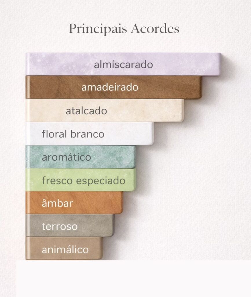 Acordes do perfume de musk e especiairias da Chlorophylla