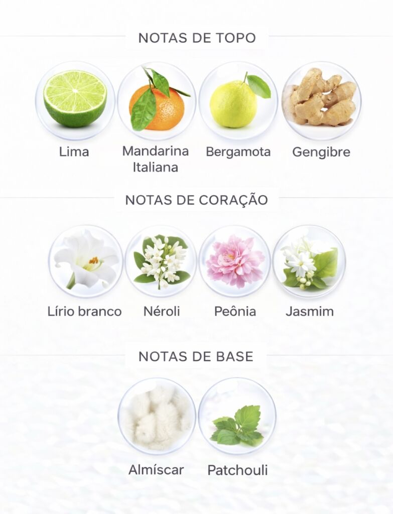 Notas do perfume Cora Thera Cosméticos 