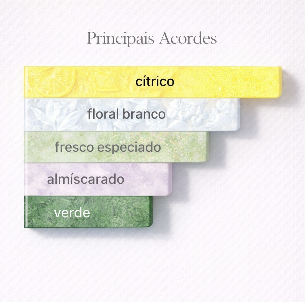 Acordes do perfume Cora Thera Cosméticos 
