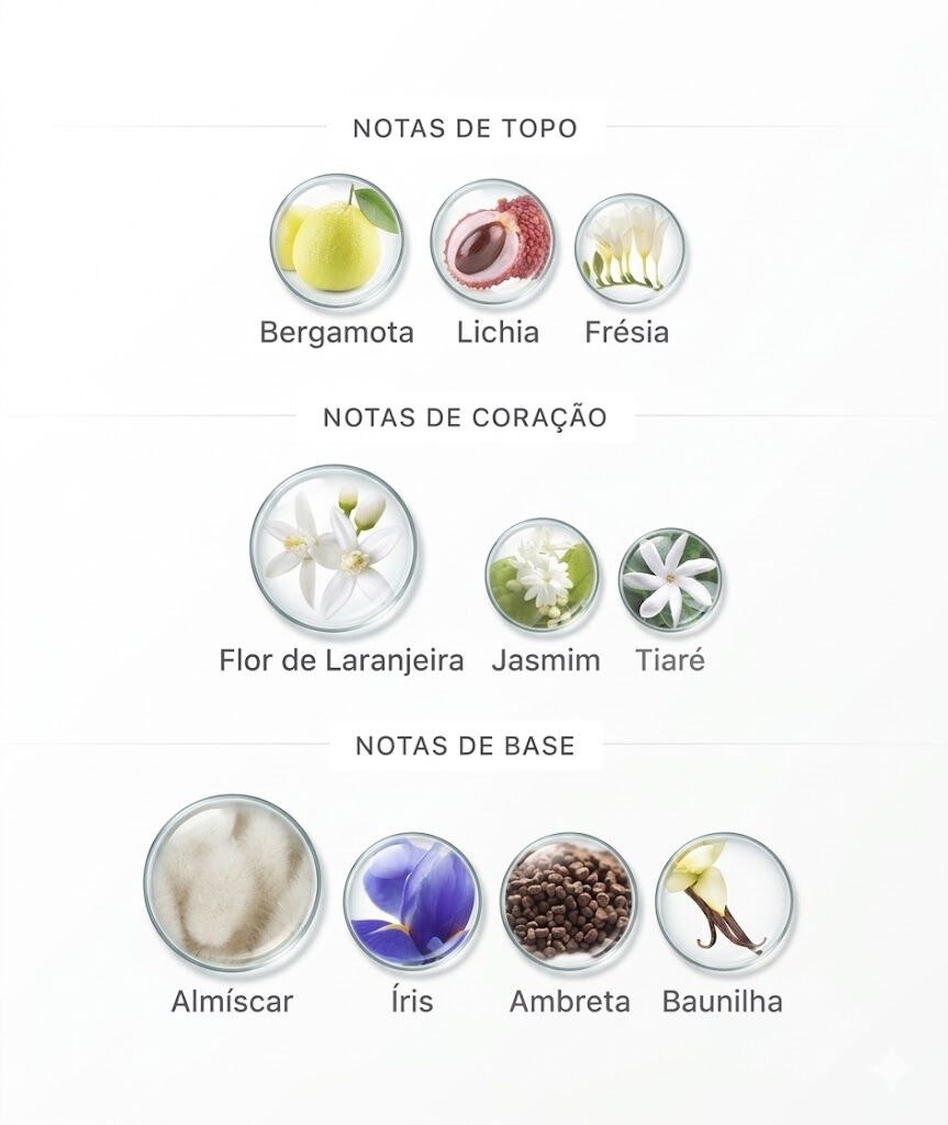 Notas do perfume Terracota Musk de Adolfo Dominguez