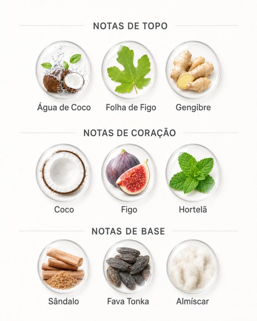 Notas do perfume Hawas Tropical Rasasi