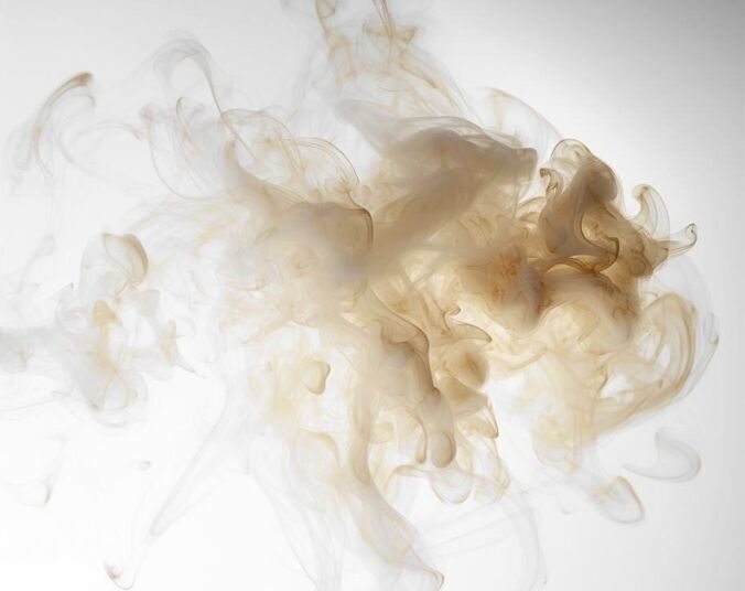 Perfume almiscarado: lista com opções de perfumes com almíscar ou musk