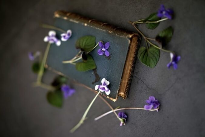 Perfume de violeta