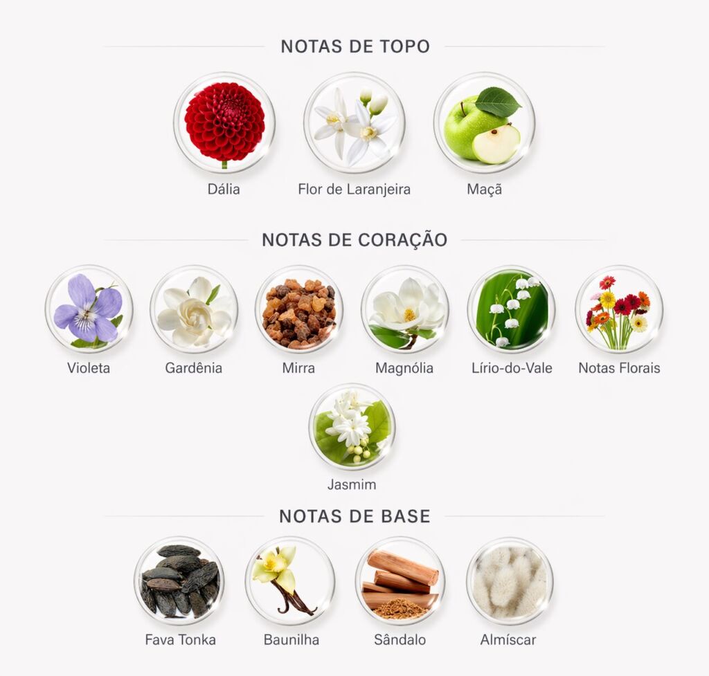 Notas do perfume Magnific Violet Dahlia Eudora