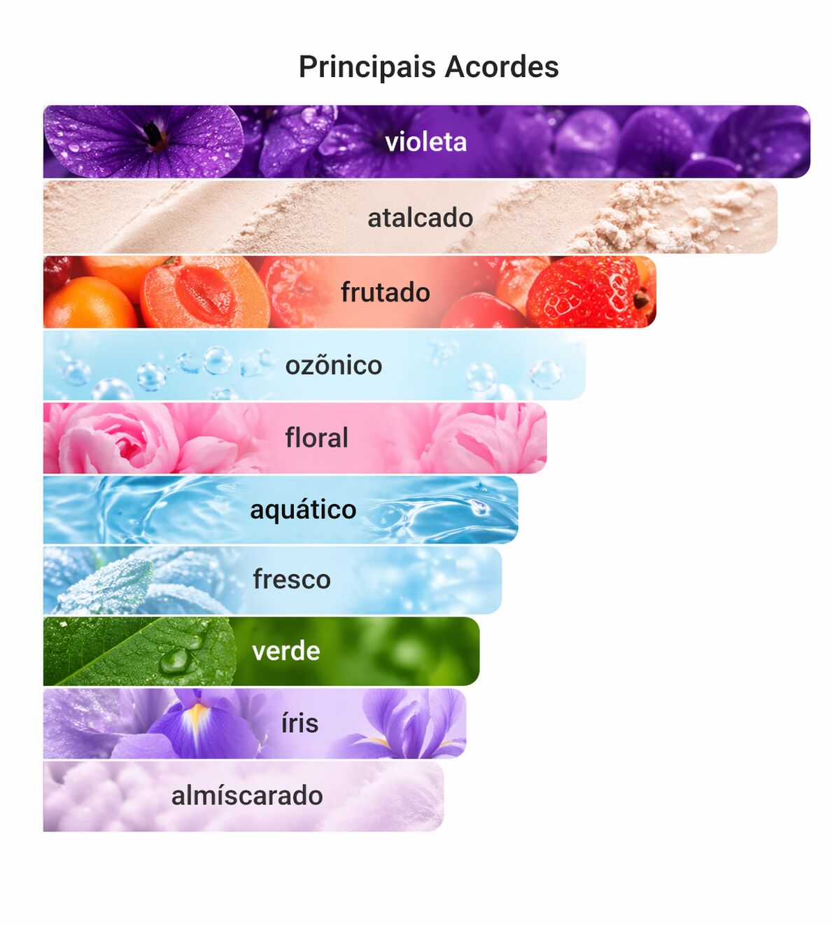 Acordes do Perfume Violette Eau de Parfum de Molinard 