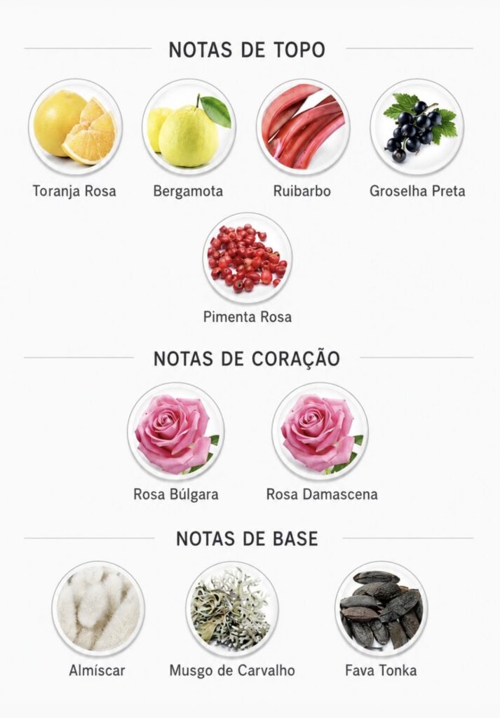 Contratipos Kayali: lista de perfumes inspirados em fragrâncias da marca 65 Pirâmide olfativa do perfume Kayali Citrus | 08