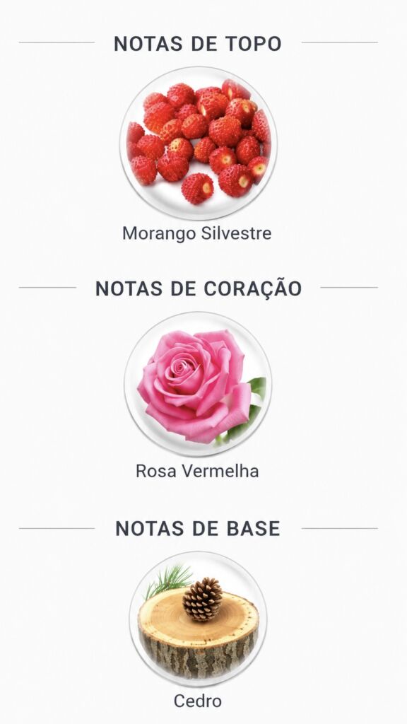 Pirâmide olfativa do perfume de morango Coach Love