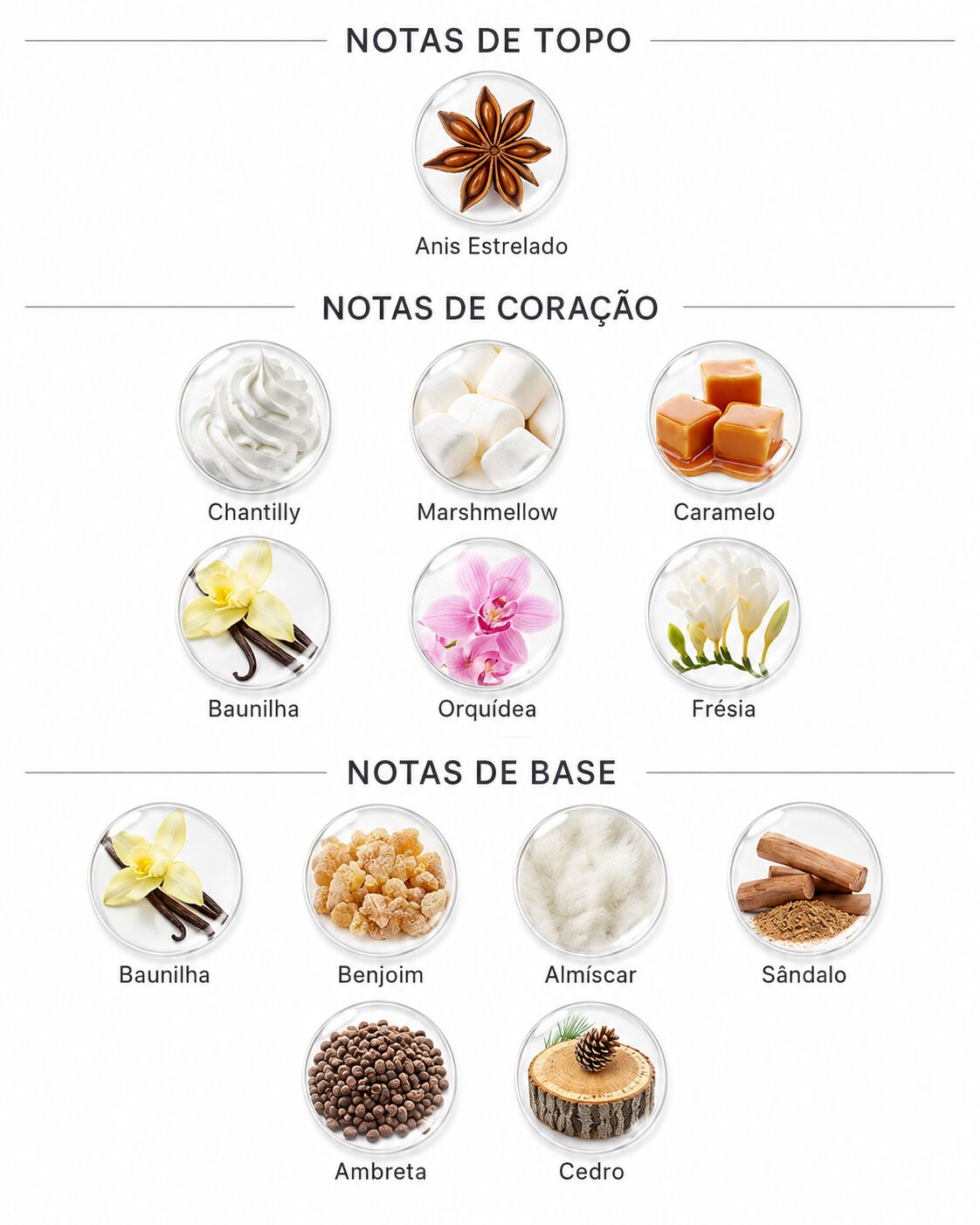 Perfumes lactônicos: 10 opções de perfume com nota de leite 26 Notas do Body Splash Cuide-Se Bem Deleite