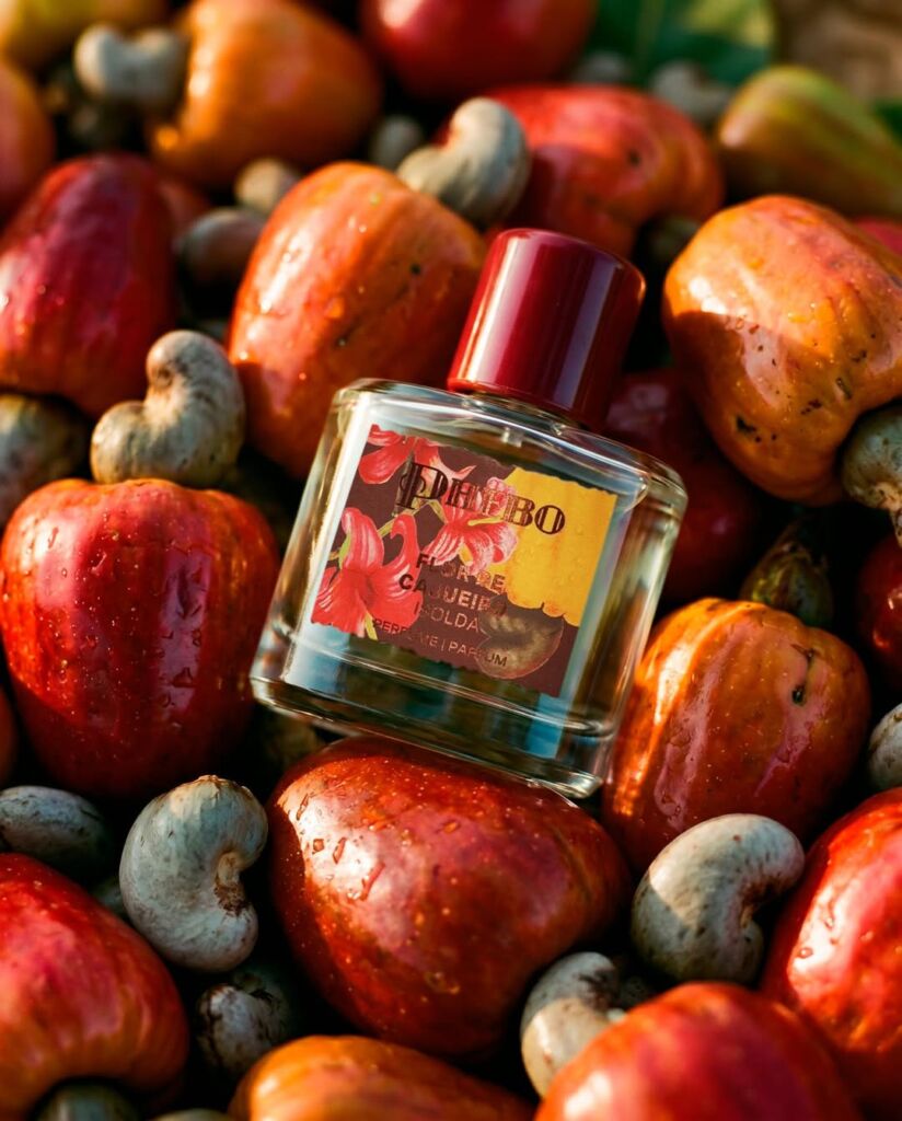 Perfume Phebo Biblioteca Olfativa Isolda Flor de Cajueiro