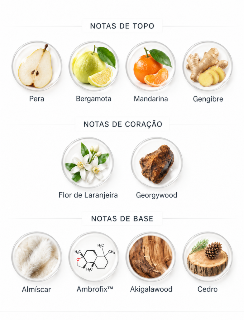 Pirâmide olfativa do perfume Talismã Sousou contratipo de Blue Talisman Ex Nihilo