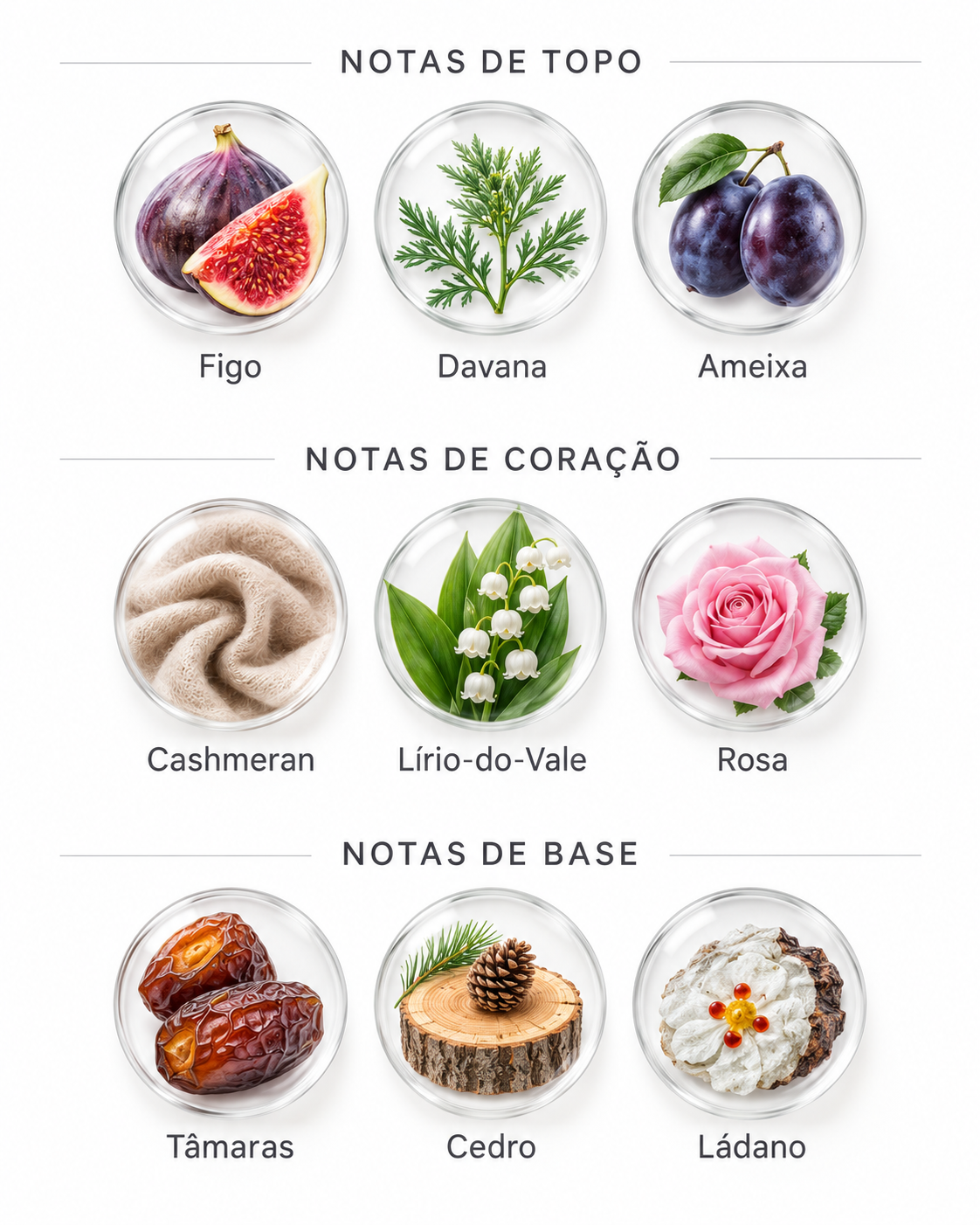 Lista de perfumes Granado 30 Notas olfativas do perfume Figo Confit Granado
